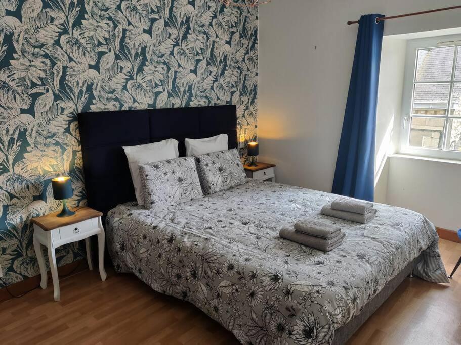 Le Tropica Appartement 2 Chambres, Plein Sud Centre Ville De Vitre ภายนอก รูปภาพ