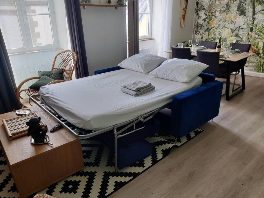Le Tropica Appartement 2 Chambres, Plein Sud Centre Ville De Vitre ภายนอก รูปภาพ