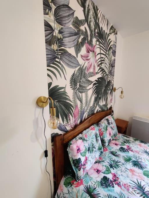 Le Tropica Appartement 2 Chambres, Plein Sud Centre Ville De Vitre ภายนอก รูปภาพ