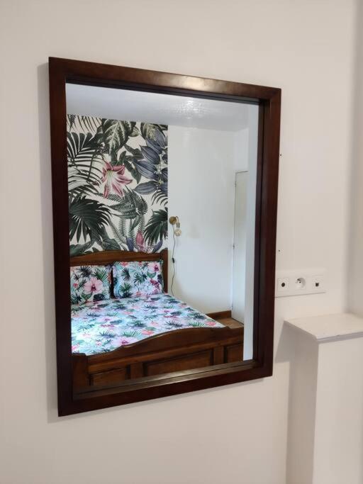 Le Tropica Appartement 2 Chambres, Plein Sud Centre Ville De Vitre ภายนอก รูปภาพ